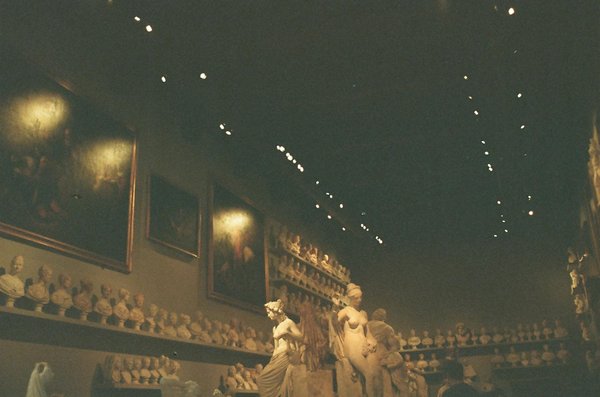 Panneau solaire photovoltaïque : une solution économique et verte