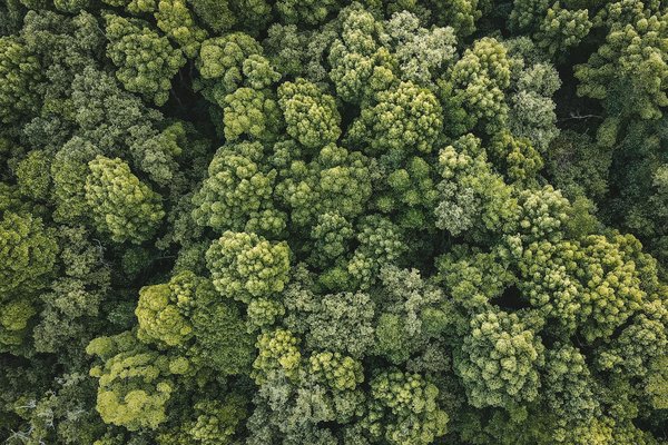 Découvrez Toutes les Clés des Aides à l'Embauche : Guide Complet et Pratique